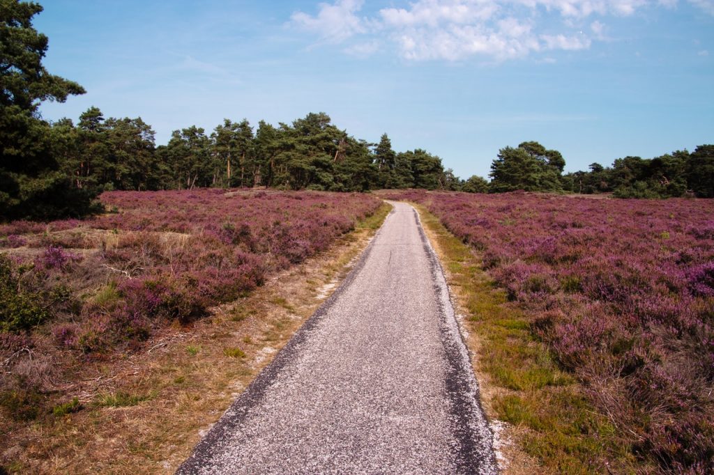 De Veluwe