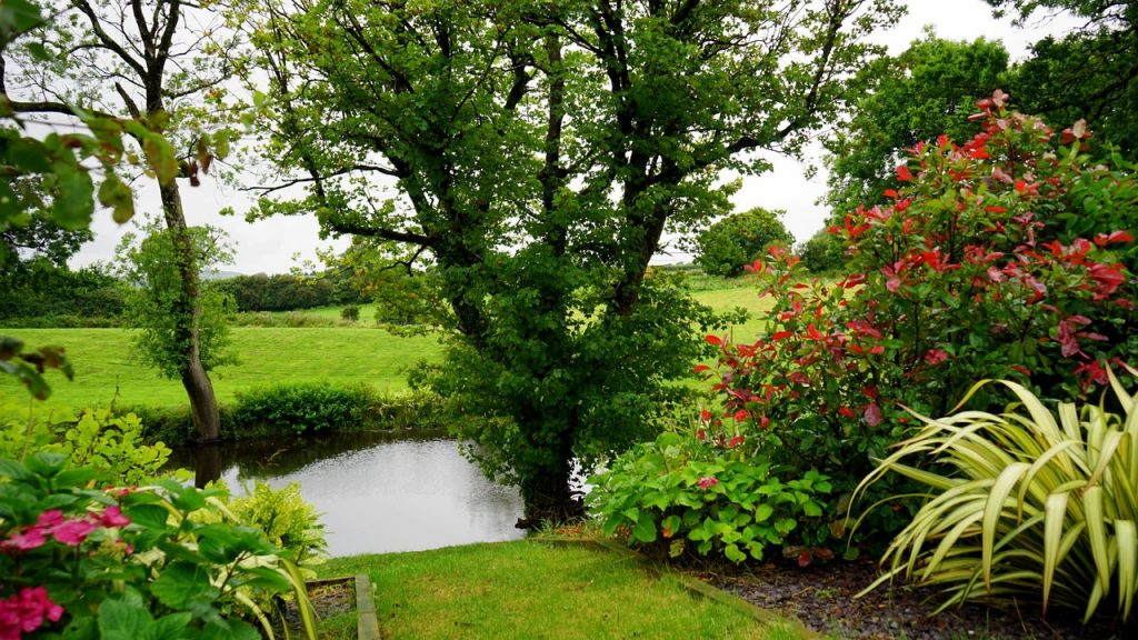 Fleur jouw tuin op met vaste planten voor buiten