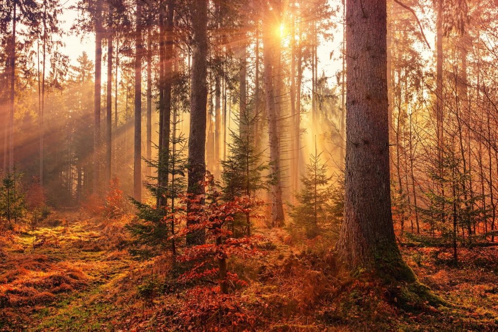 herfstvakantie