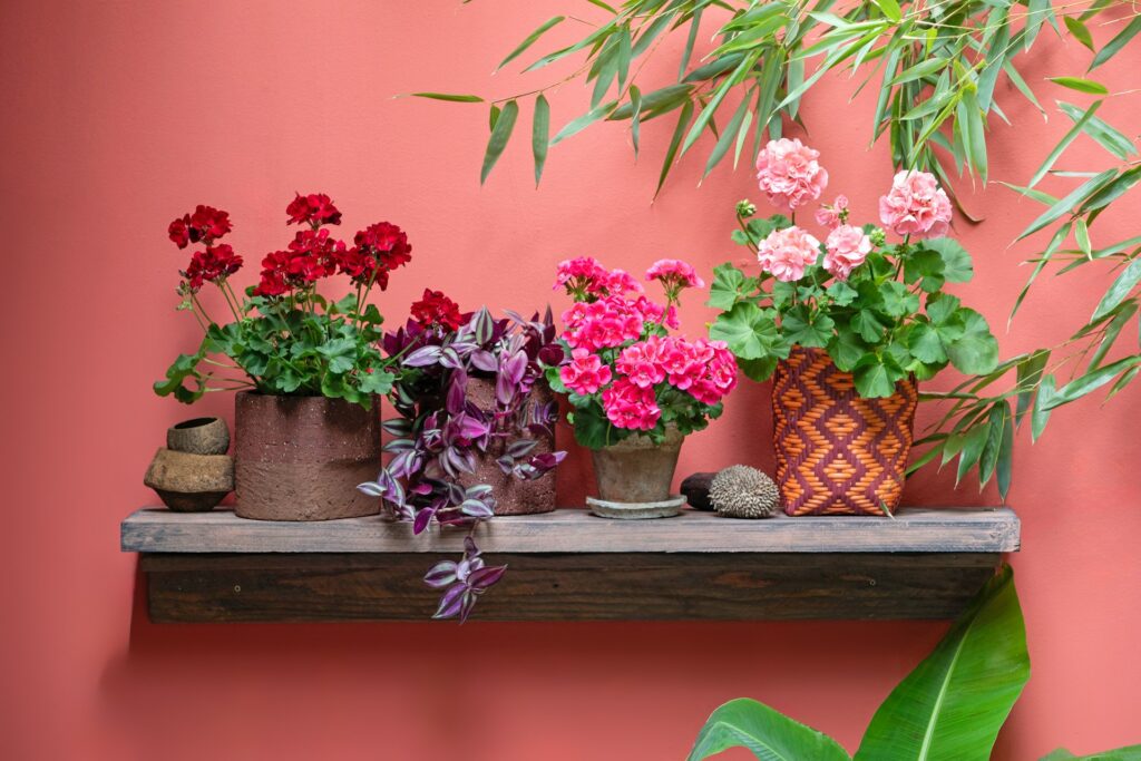 Bloemen in huis: wat het doet met je humeur en je interieur