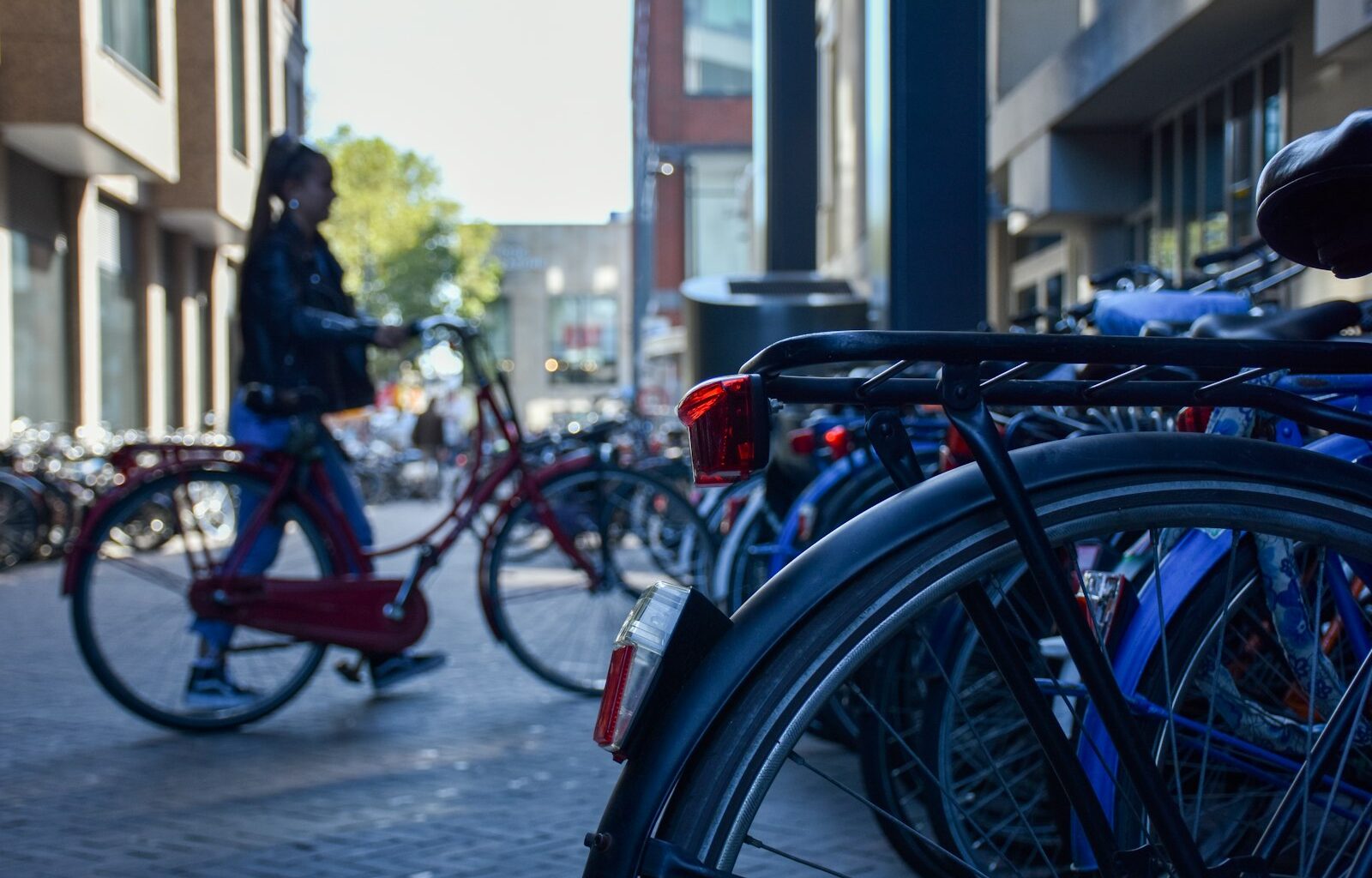 Fietsen zonder zijwieltjes: in welke stappen je kind het leert