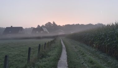 Nachtmerrie of nachtangst: hoe je het verschil ziet