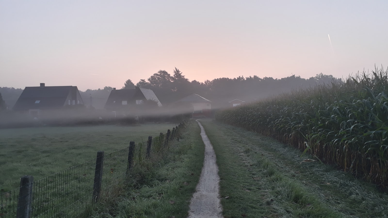 Nachtmerrie of nachtangst: hoe je het verschil ziet