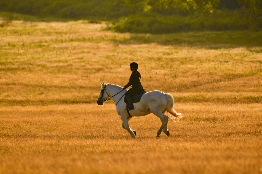 Kind op een pony tijdens een rijles op de manege