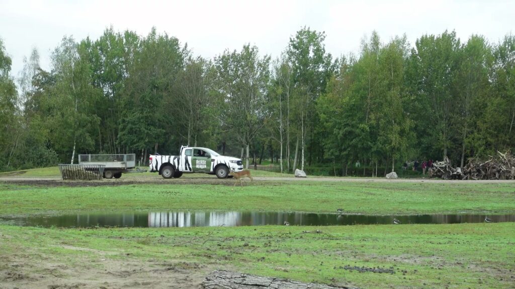 Safaripark Beekse Bergen met een safariauto op de savanne